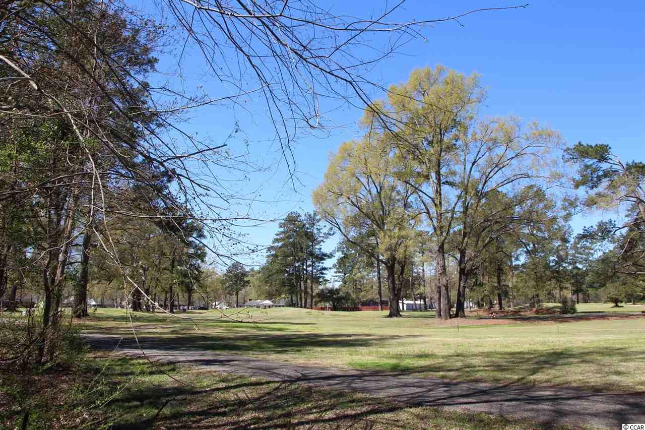 2513 Graham Road Conway, SC 29526 - Photo 17 of 18 Gallery Image 17