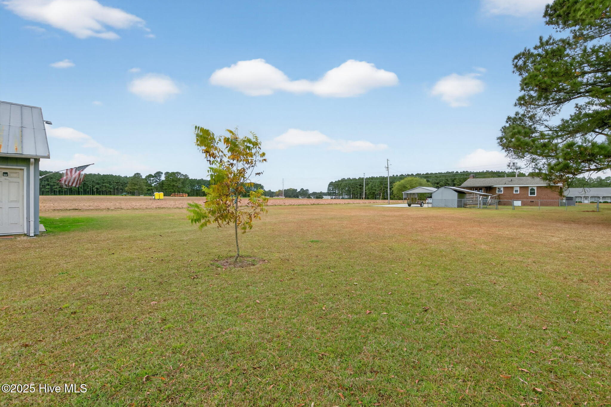 5619 Bloomery Road Wilson, NC 27896 - Photo 36 of 41 Back Yard 3