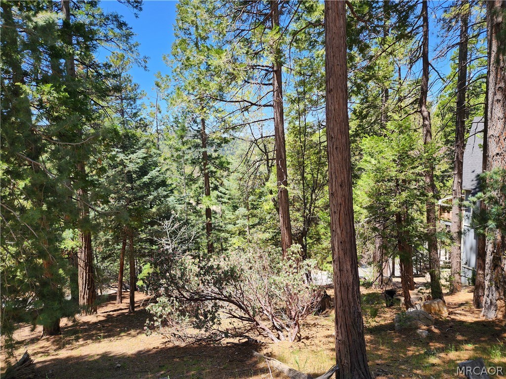 132 Grizzly Road Lake Arrowhead, CA 92352 - Photo 11 of 19 a view of forest