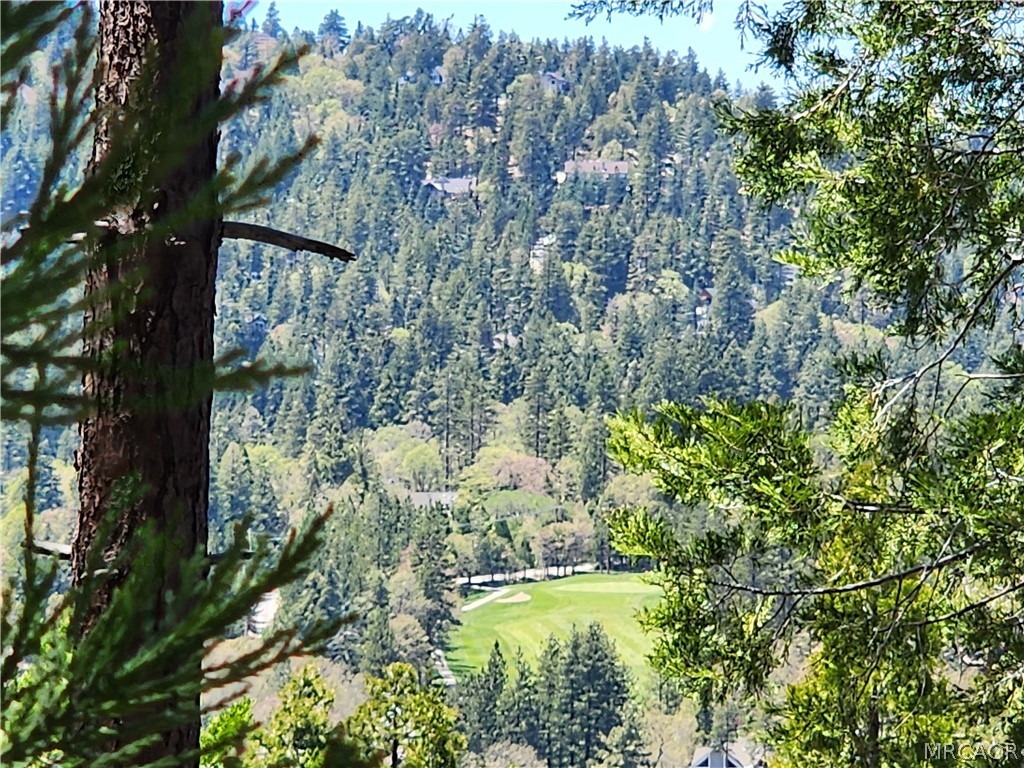 132 Grizzly Road Lake Arrowhead, CA 92352 - Photo 12 of 19 a view of lake with green space