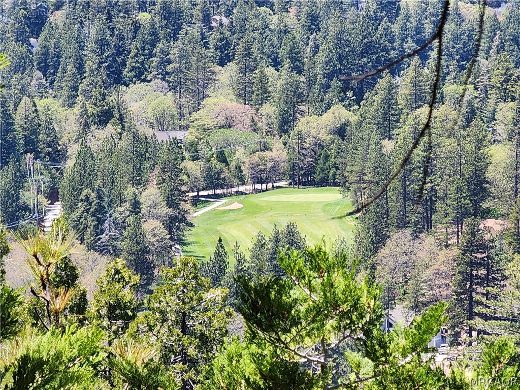 132 Grizzly Road Lake Arrowhead, CA 92352 - Photo 13 of 19 a view of a swimming pool and trees in the background