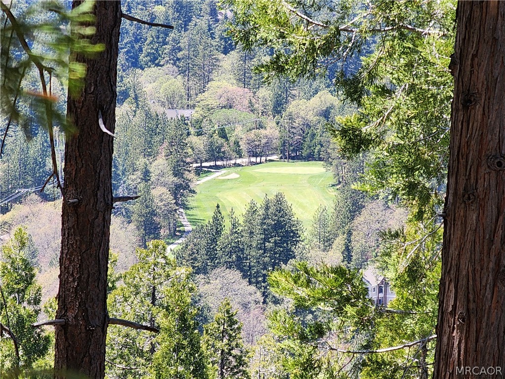 132 Grizzly Road Lake Arrowhead, CA 92352 - Photo 15 of 19 a view of a garden with plants
