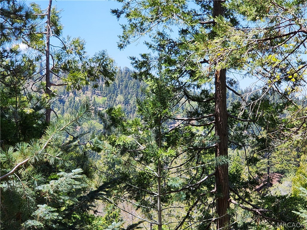 132 Grizzly Road Lake Arrowhead, CA 92352 - Photo 17 of 19 a view of a tree