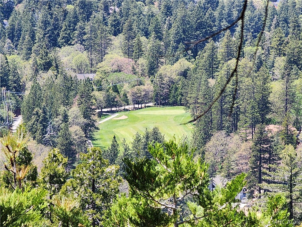 132 Grizzly Road Lake Arrowhead, CA 92352 - Photo 5 of 19 a view of a house with a yard and large trees