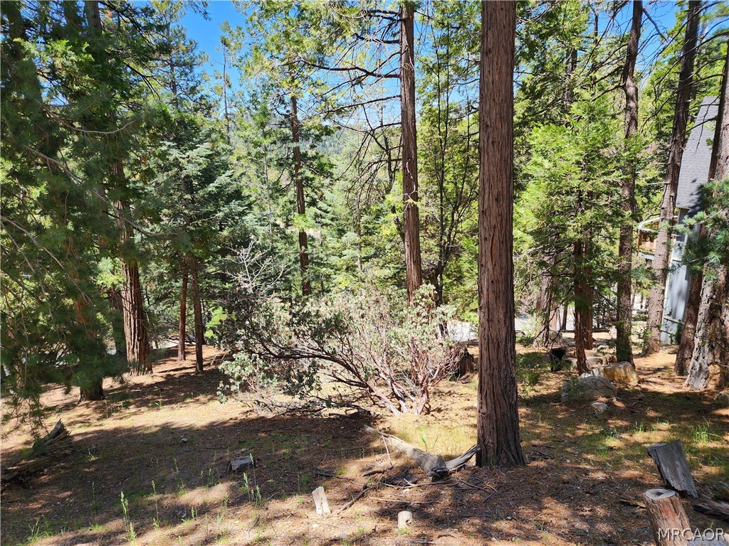 132 Grizzly Road Lake Arrowhead, CA 92352 - Photo 8 of 19 a view of a forest filled with trees