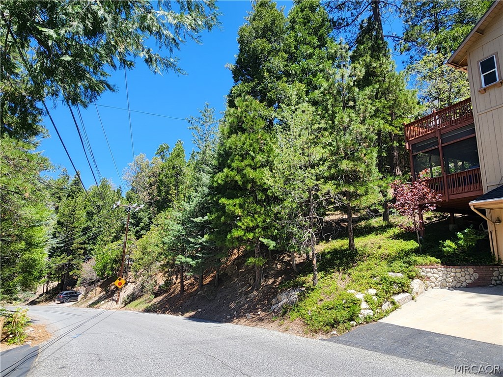 132 Grizzly Road Lake Arrowhead, CA 92352 - Photo 9 of 19 front view of a house with a tree
