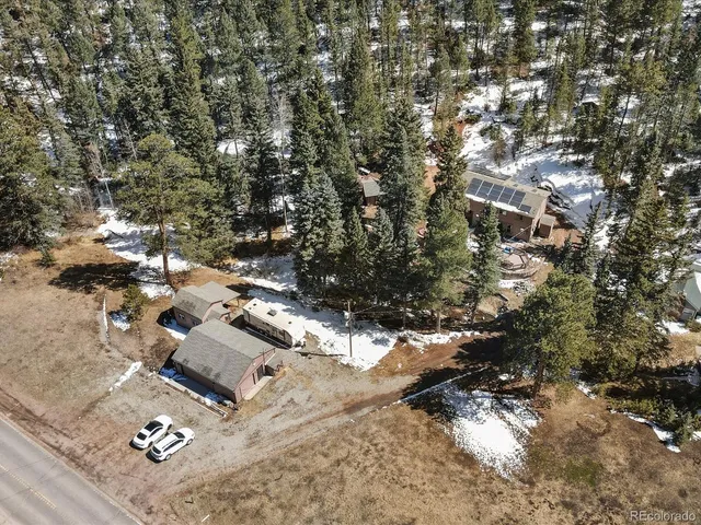 a view of backyard with tree