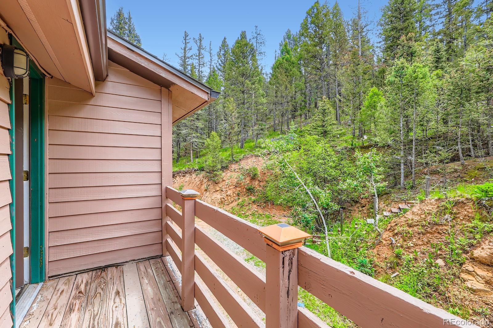 28268 Shadow Mountain Drive Conifer, CO 80433 - Photo 30 of 31