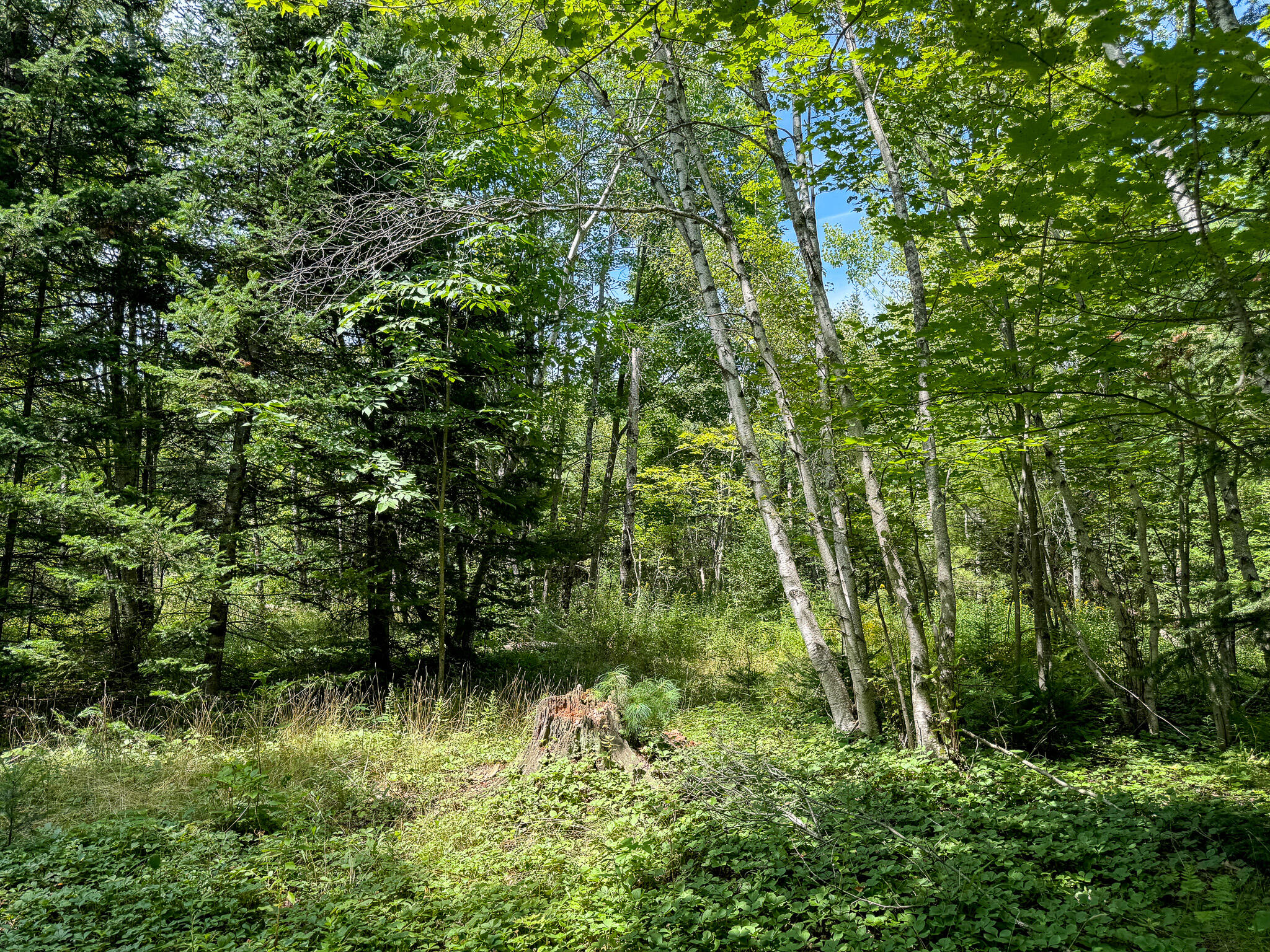 M9-l20-1 Valley Road Etna, ME 04434 - Photo 10 of 33