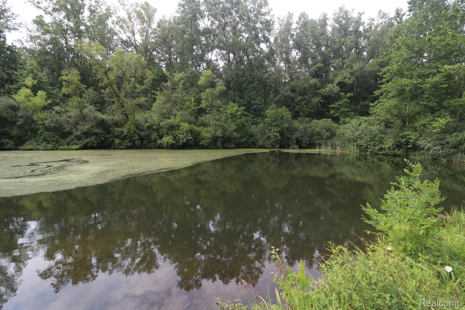 8317 Liss Road Willis, MI 48191 - Photo 15 of 15 Pondview 3