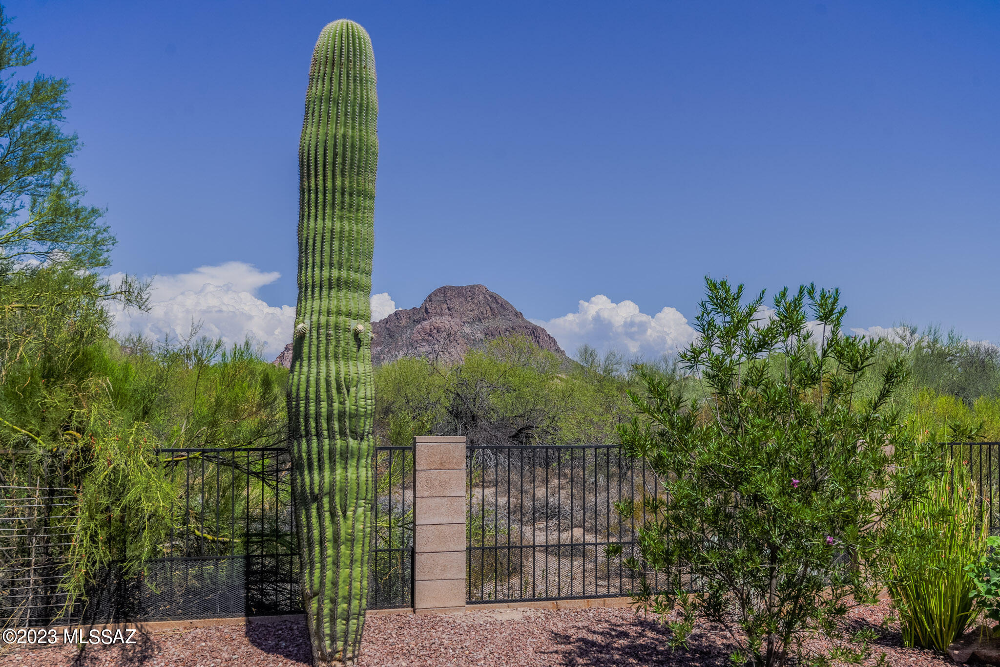3621 South Desert Cache Road Tucson, AZ 85735 - Photo 3 of 42 Gallery Image 3