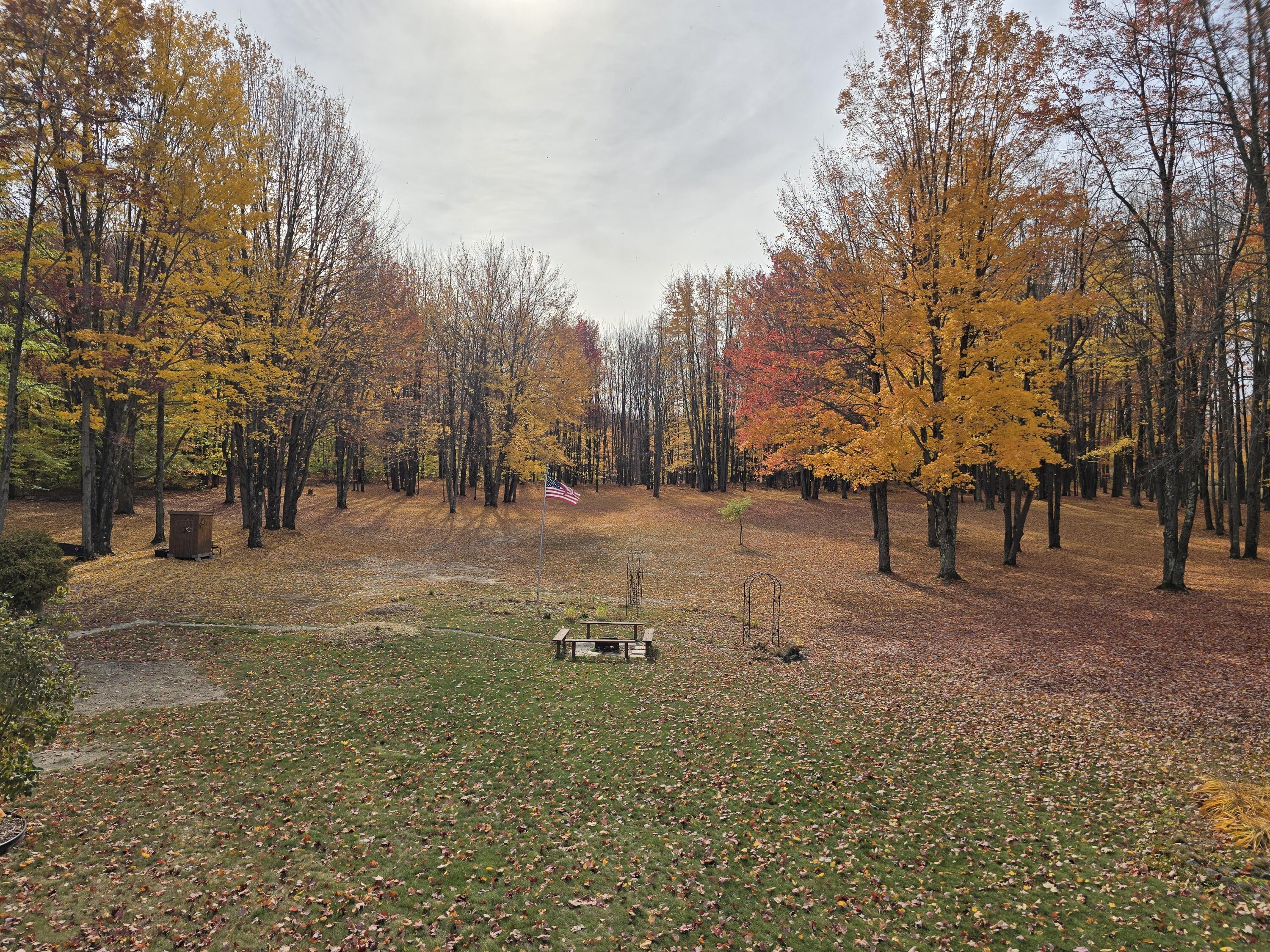 11935 West 16 Road Mesick, MI 49668 - Photo 52 of 80 Oasis near Hodenpyle Backwaters