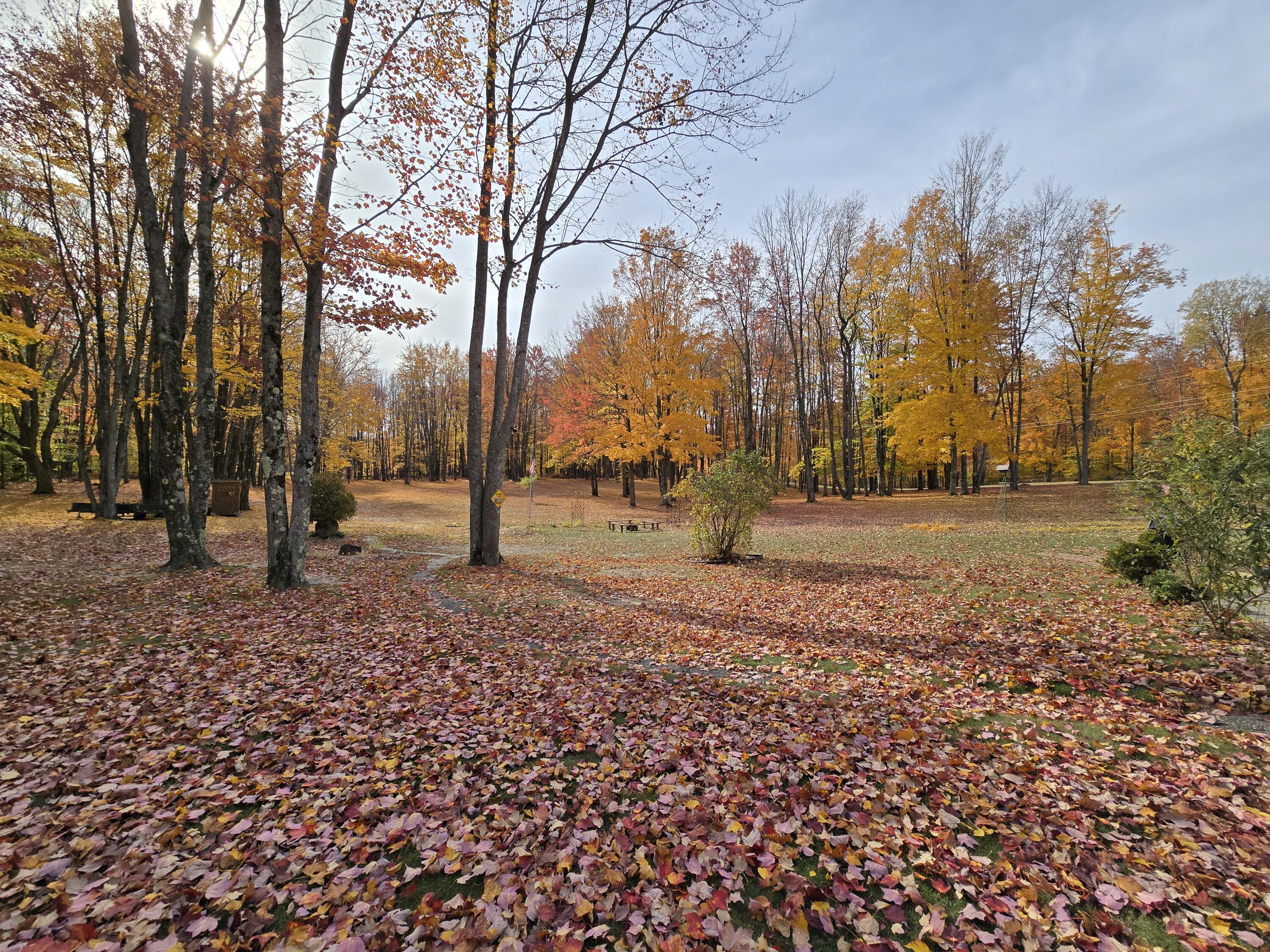 11935 West 16 Road Mesick, MI 49668 - Photo 59 of 80 Oasis near Hodenpyle Backwaters