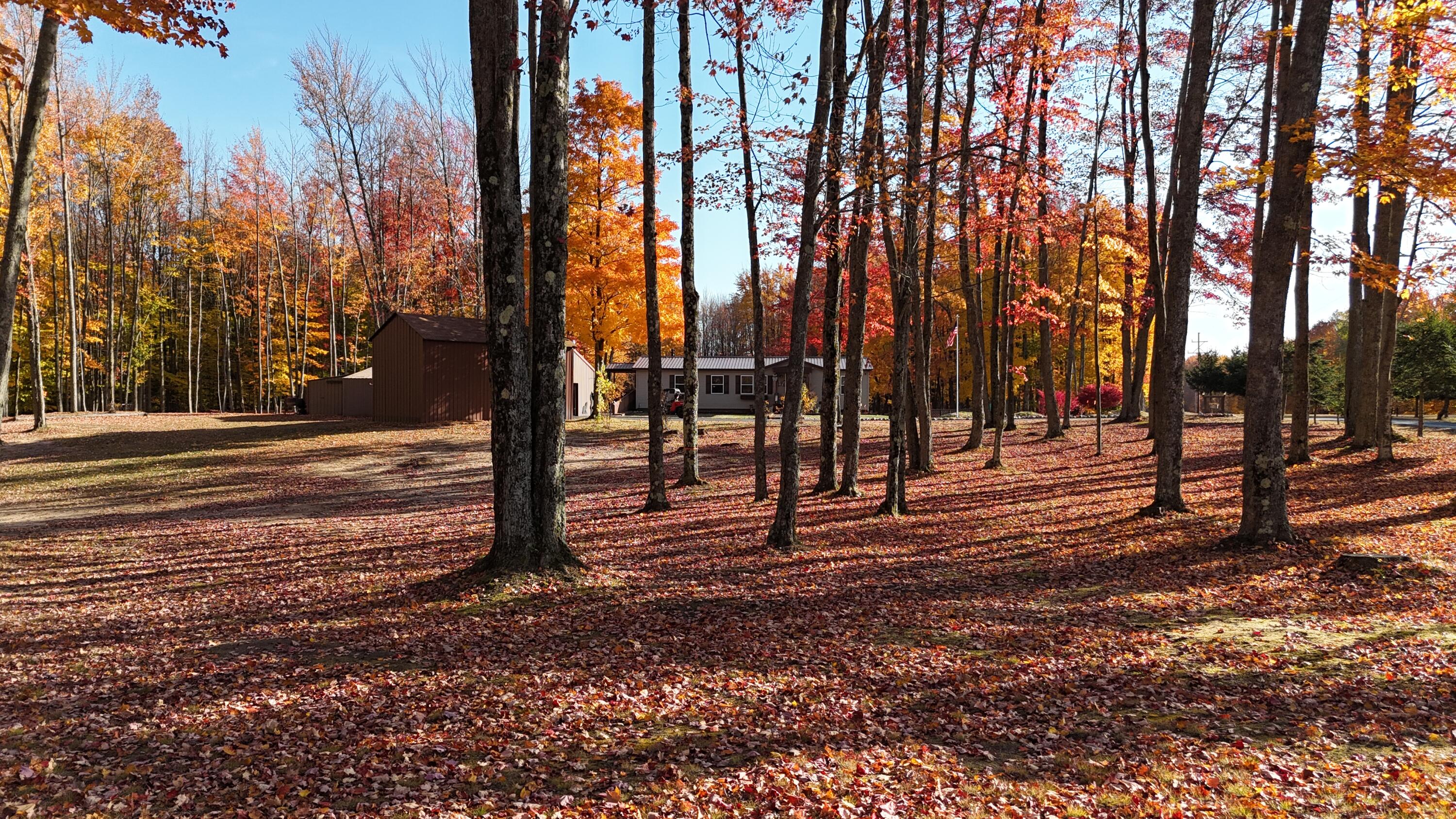 11935 West 16 Road Mesick, MI 49668 - Photo 71 of 80 Oasis near Hodenpyle Backwaters