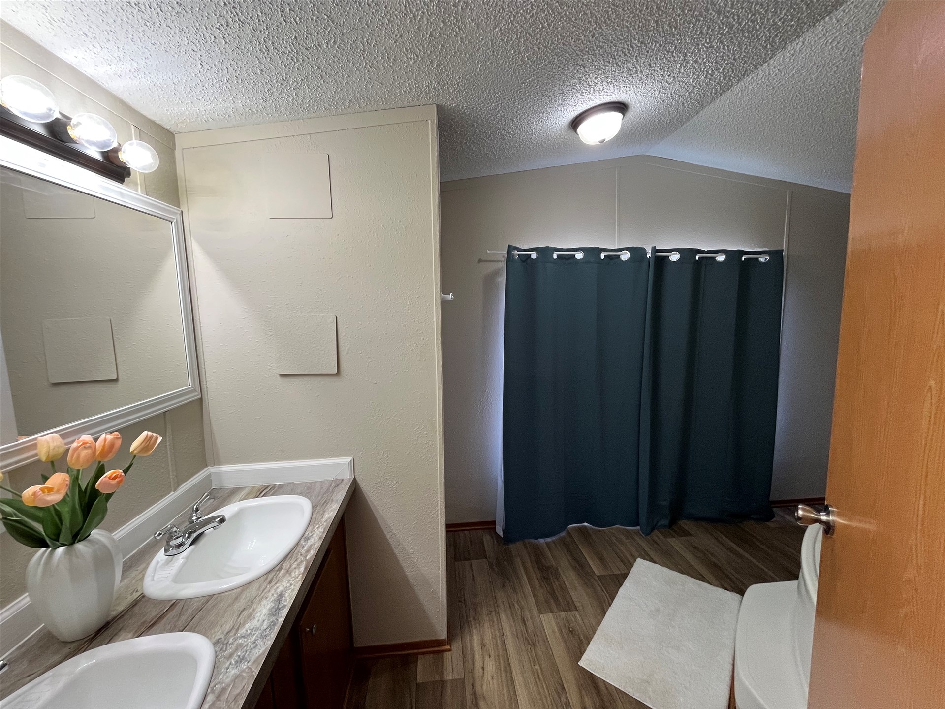 428628 East 1133 Road Porum, OK 74455 - Photo 8 of 16 Dual sink vanity with laminate countertop, wood-finish flooring, and built-in overhead lighting
