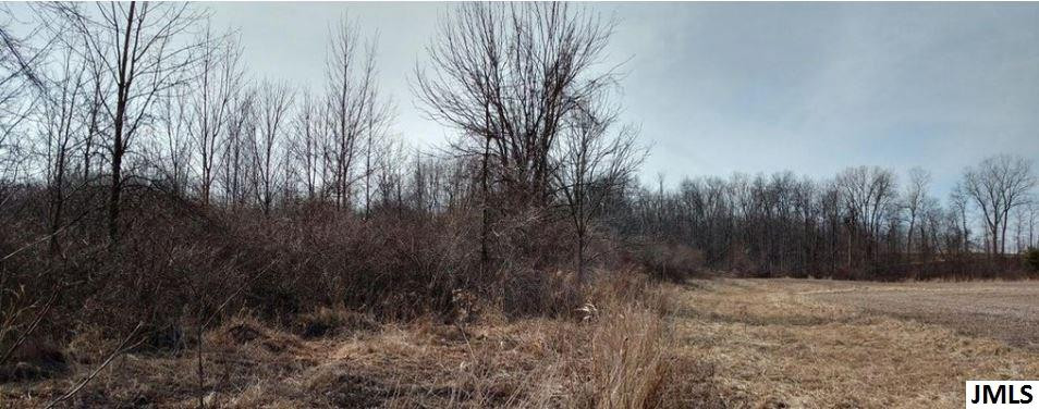 Deer Path Road Tipton, MI 49287 - Photo 1 of 1 Photo 1