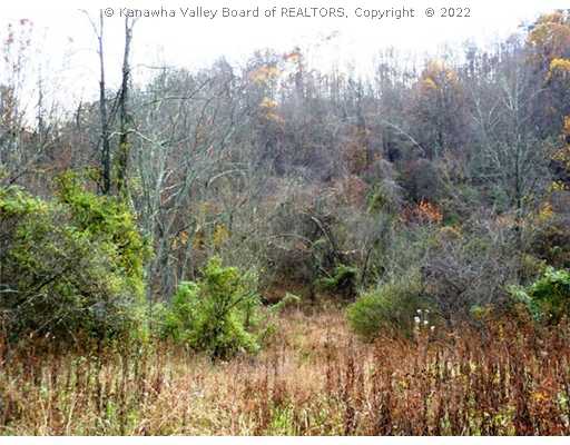 0 Patterson Road Cottageville, WV 25239 - Photo 13 of 14 Land.