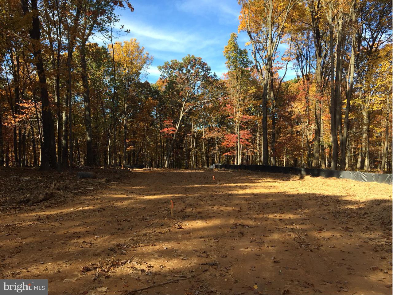 11903 Ridgemont Road Lutherville-Timonium, MD 21093 - Photo 2 of 4 a view of road with trees