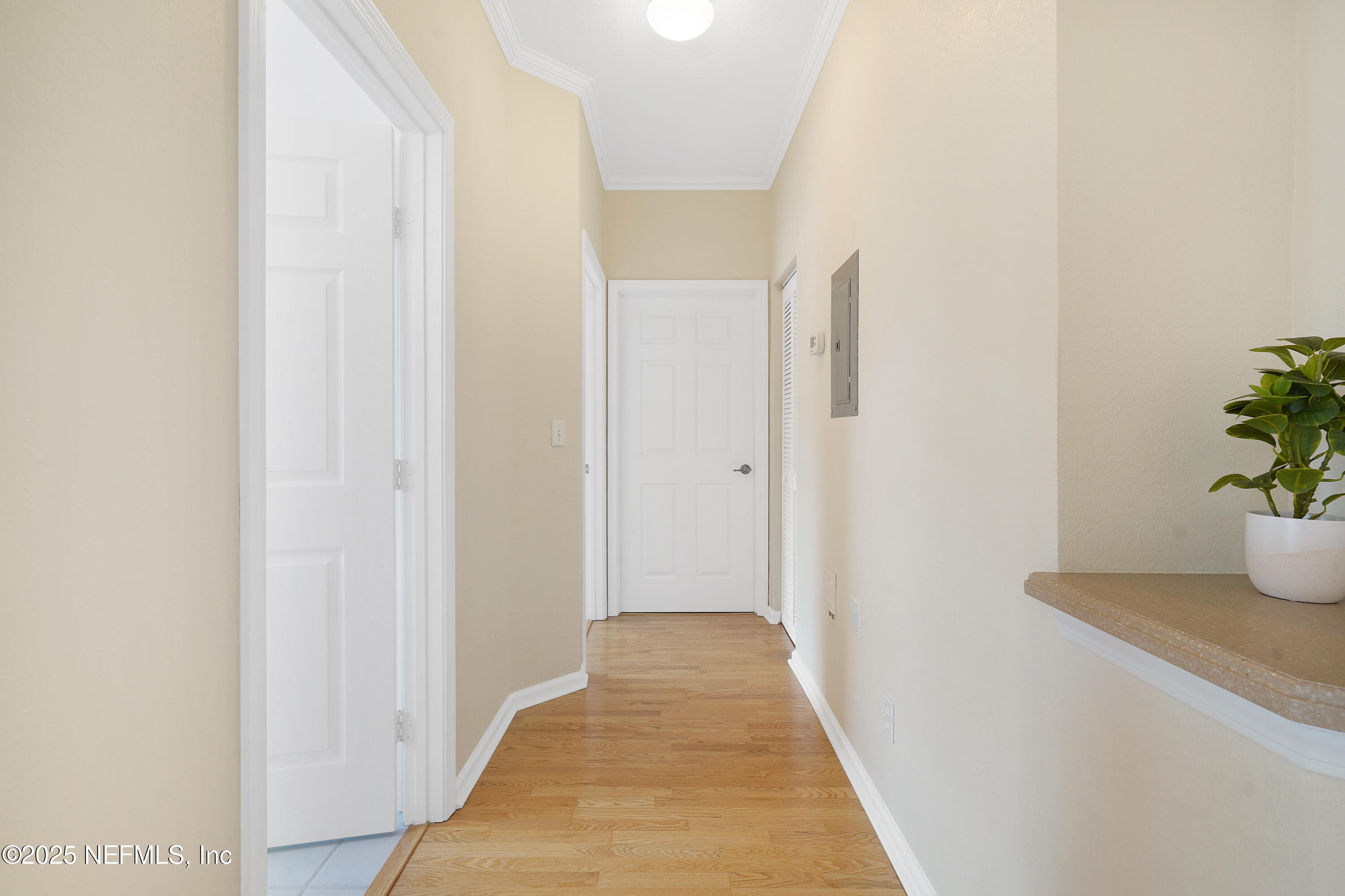2827 Vista Cove Road St. Augustine, FL 32084 - Photo 25 of 59 a view of a hallway with wooden floor and potted plants