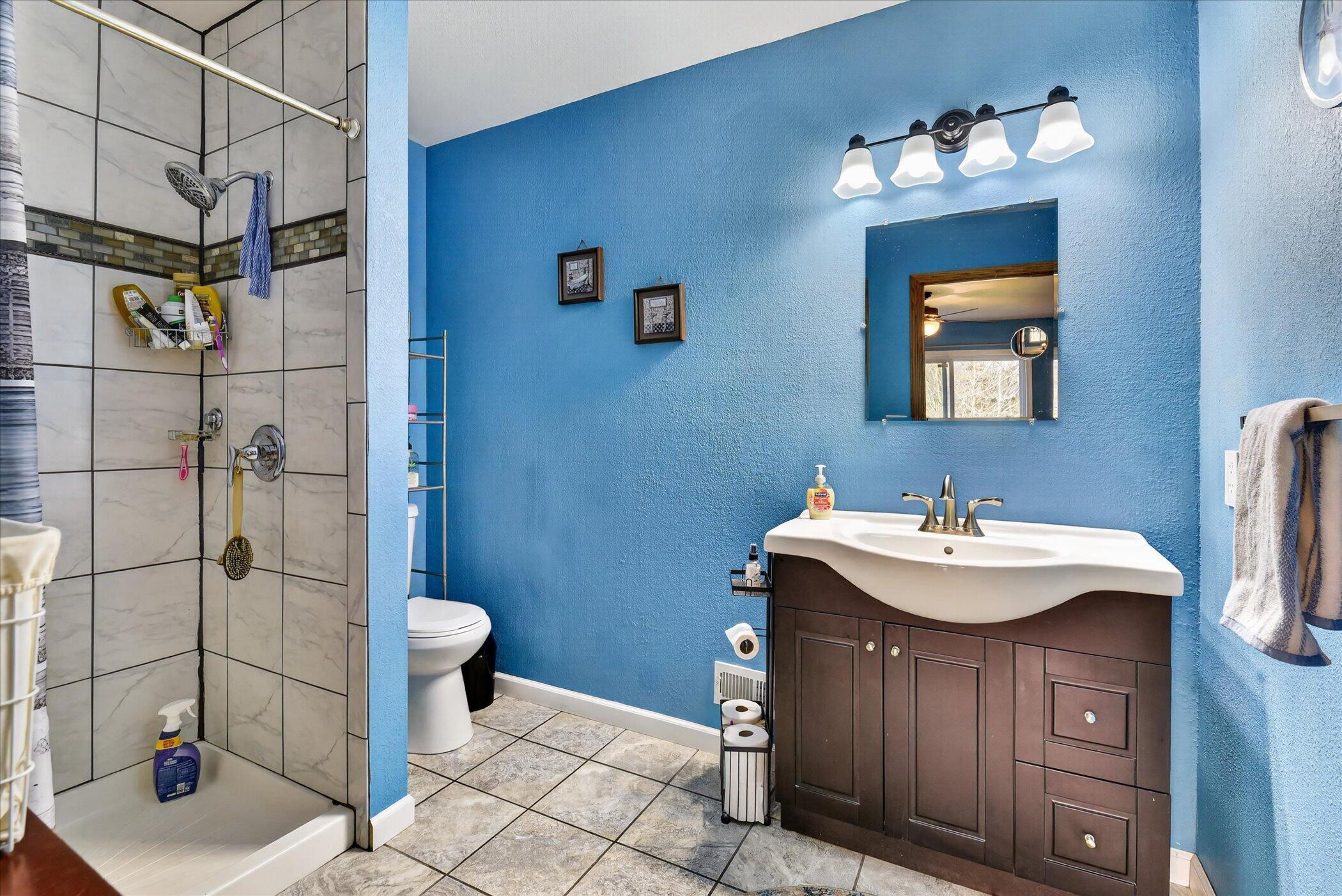 14165 Crampton Road Camden, MI 49232 - Photo 36 of 52 Primary Bathroom