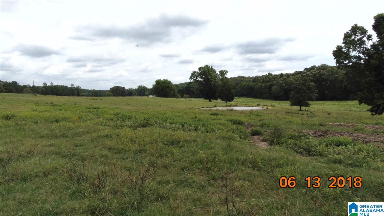 0 West Ashby Road Brierfield, AL 35035 - Photo 18 of 22