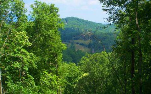 Auberry Ridge Monroe, GA 30656 - Photo 1 of 1 Main View