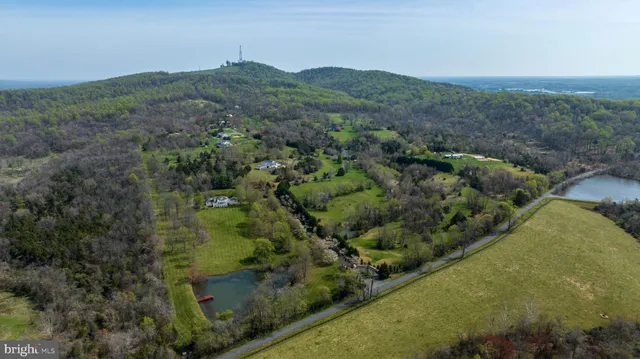 a view of a big yard with large trees