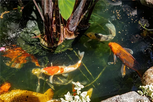 $10,000 | 195 South Parkwood Avenue, Pasadena, CA 91107