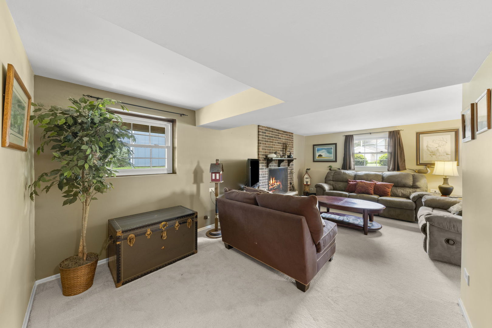1635 South Prospect Street Wheaton, IL 60189 - Photo 32 of 53 a living room with furniture and a potted plant