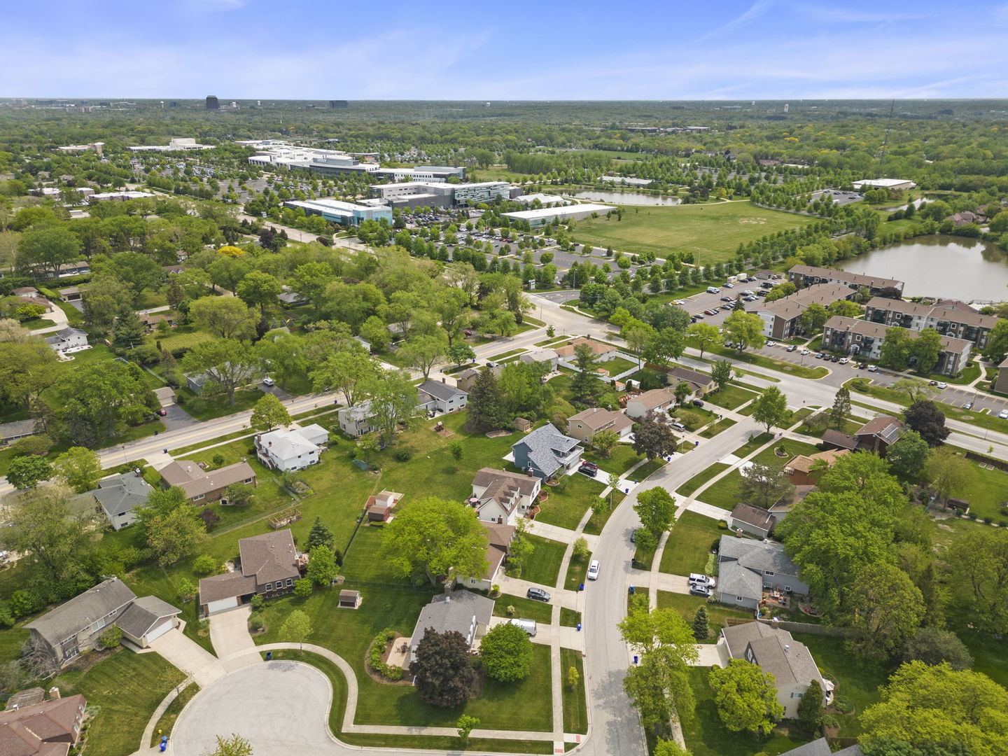 1635 South Prospect Street Wheaton, IL 60189 - Photo 47 of 53 view of city with green space