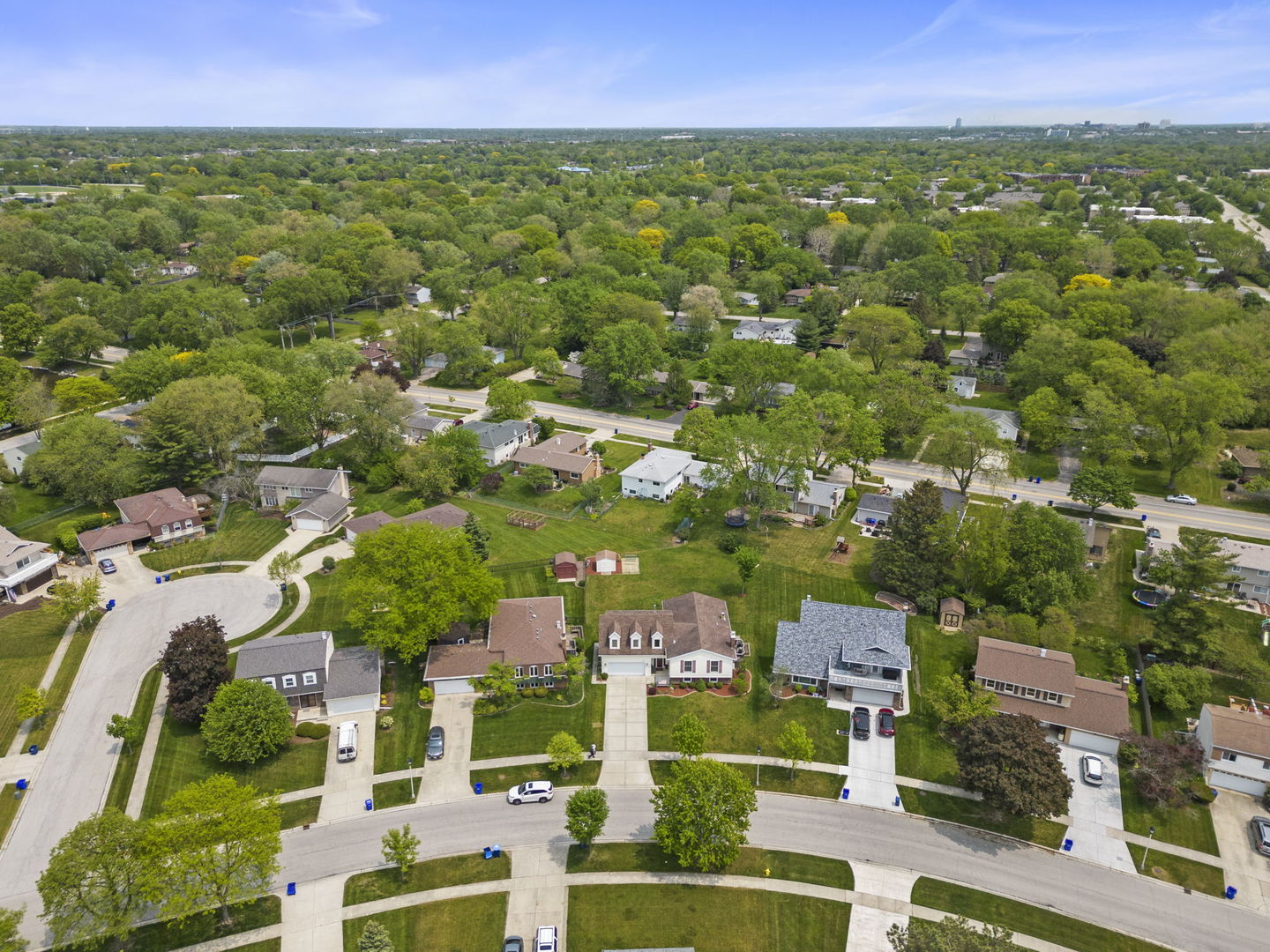 1635 South Prospect Street Wheaton, IL 60189 - Photo 50 of 53 a view of a city