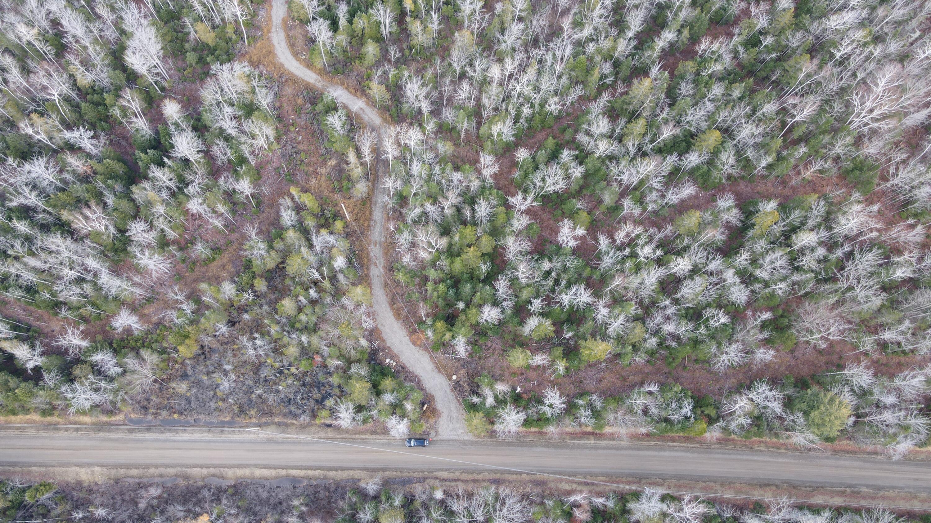 101 Center Road Madrid Township, ME 04966 - Photo 21 of 22 Overhead