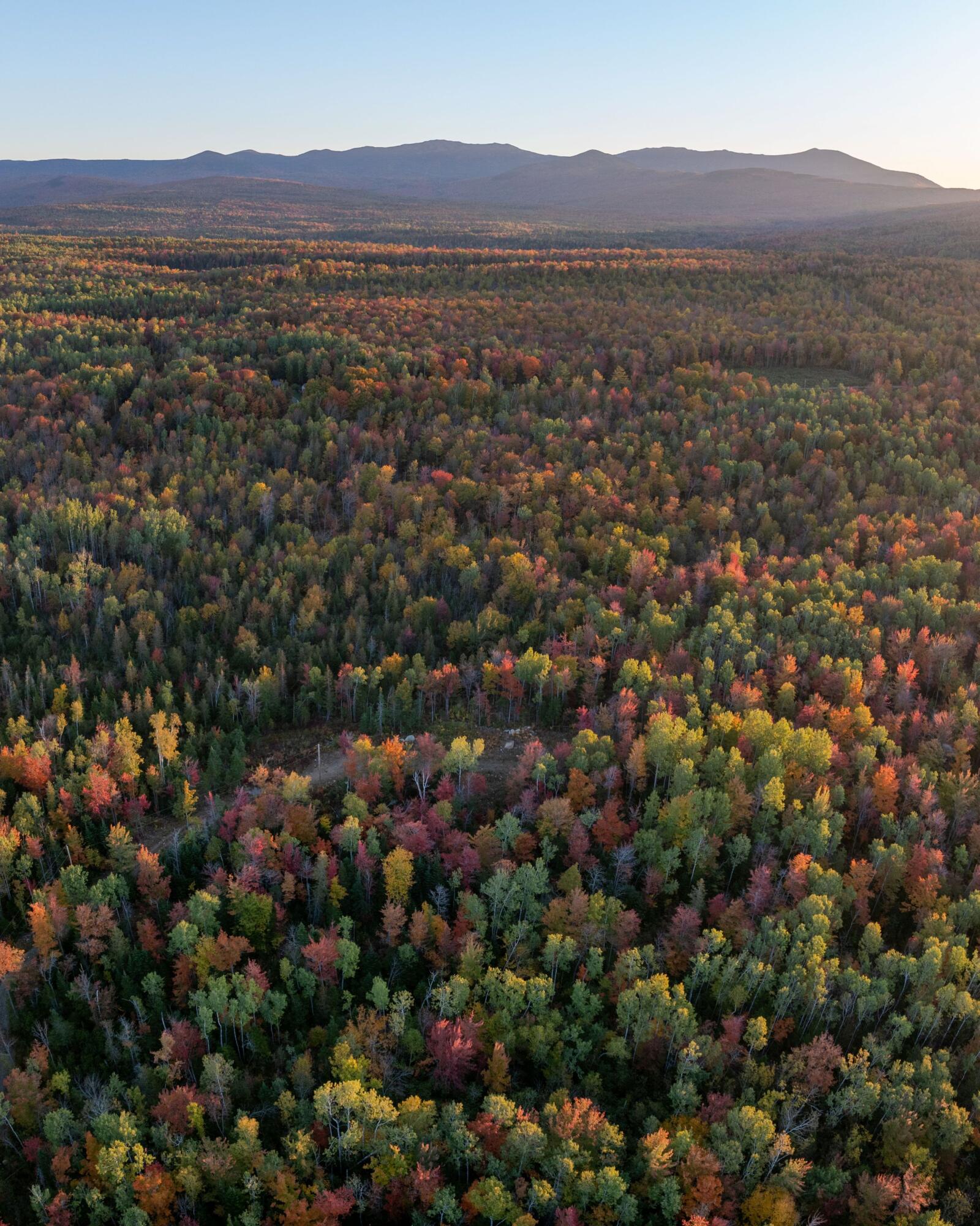 101 Center Road Madrid Township, ME 04966 - Photo 22 of 22 Four Season Access