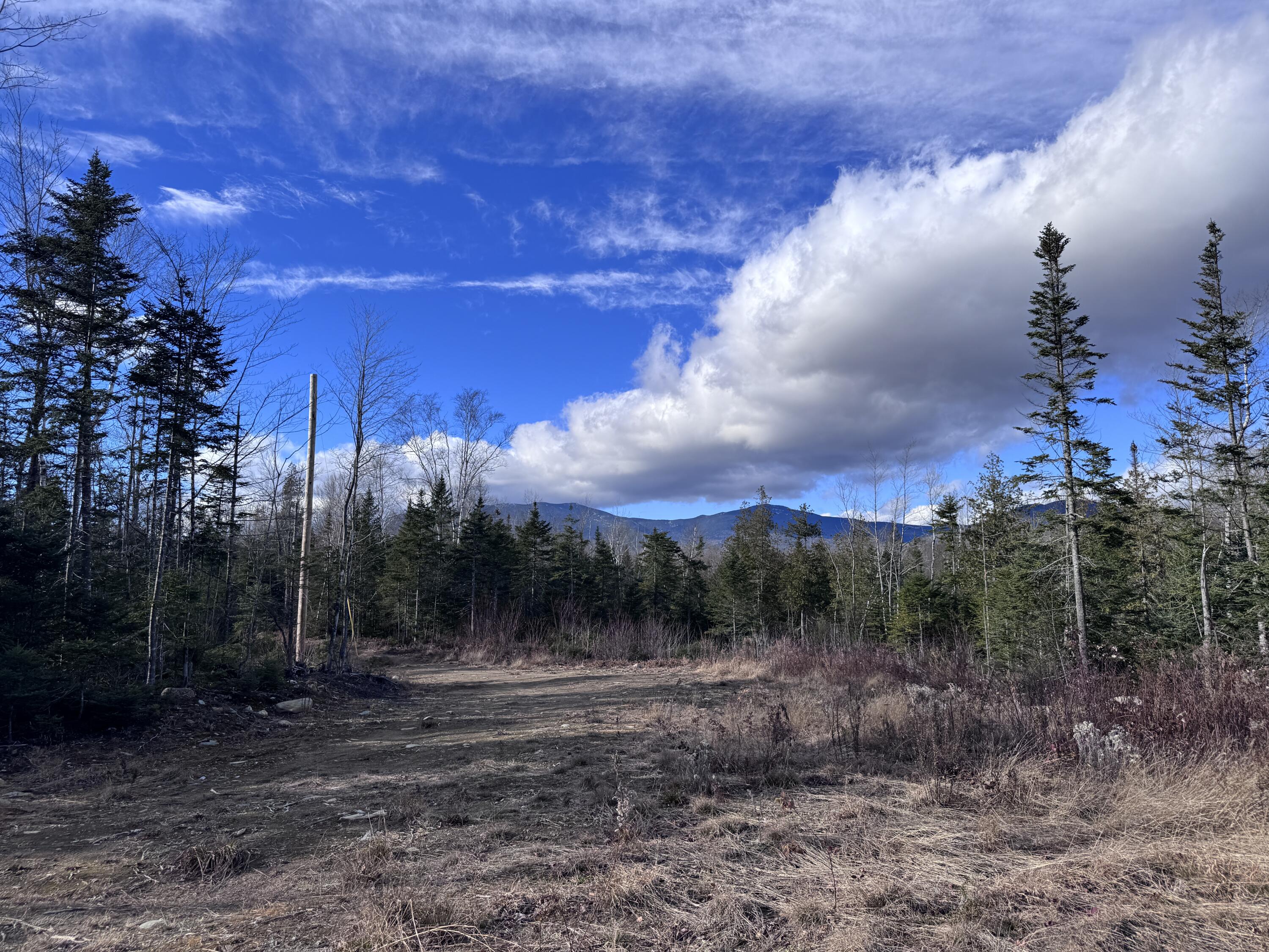 101 Center Road Madrid Township, ME 04966 - Photo 4 of 22 Bordered by the Forest