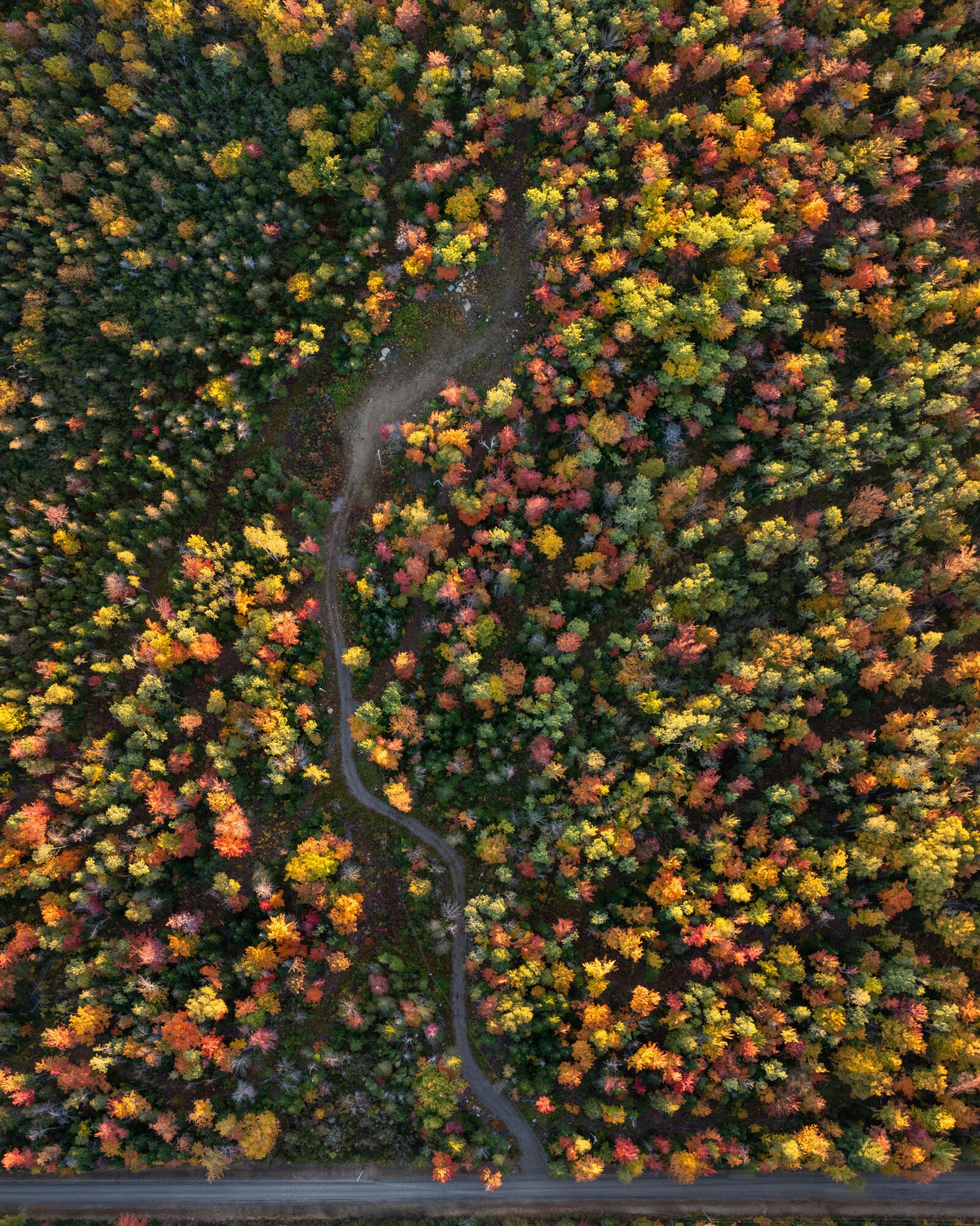 101 Center Road Madrid Township, ME 04966 - Photo 5 of 22 Driveway in Place