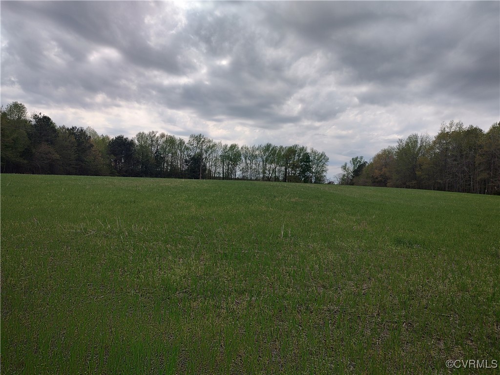 Tbd Old White Oak Road Dewitt, VA 23840 - Photo 1 of 8 50 Beautiful Acres!
