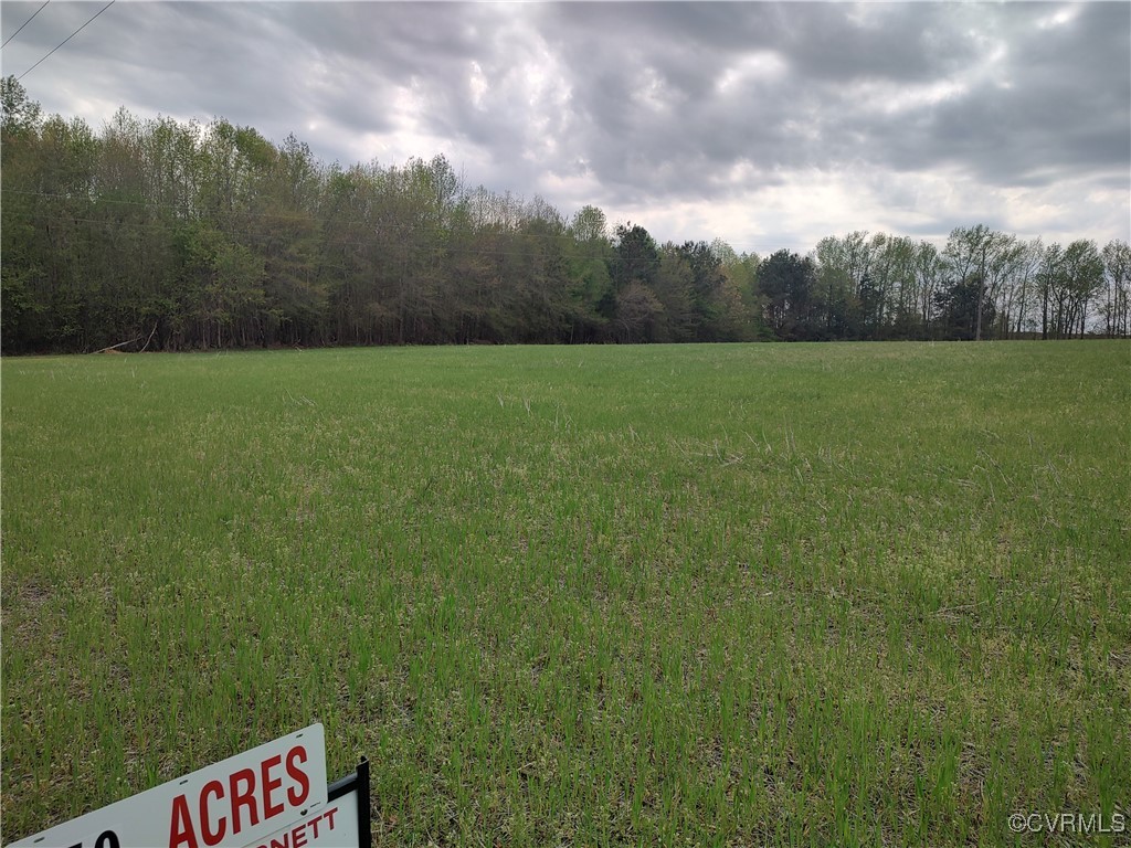 Tbd Old White Oak Road Dewitt, VA 23840 - Photo 2 of 8 Part is farmed, part is for timber