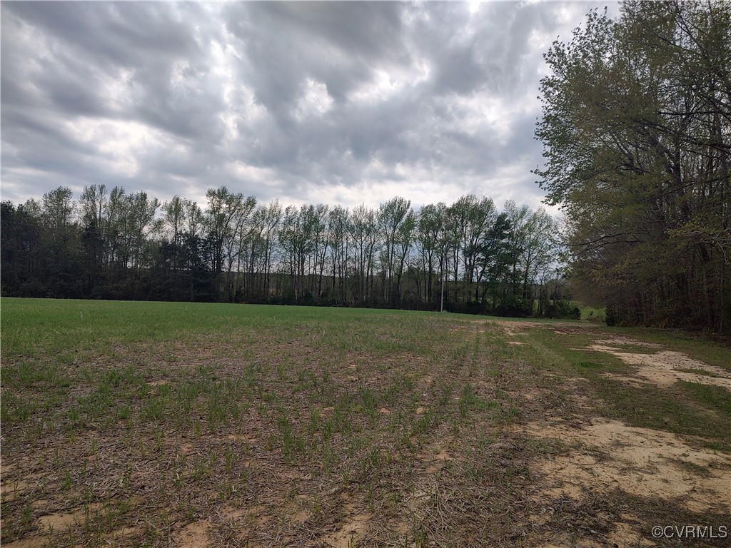 Tbd Old White Oak Road Dewitt, VA 23840 - Photo 3 of 8