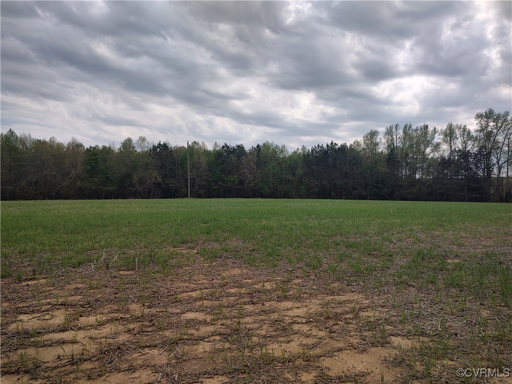 Tbd Old White Oak Road Dewitt, VA 23840 - Photo 4 of 8