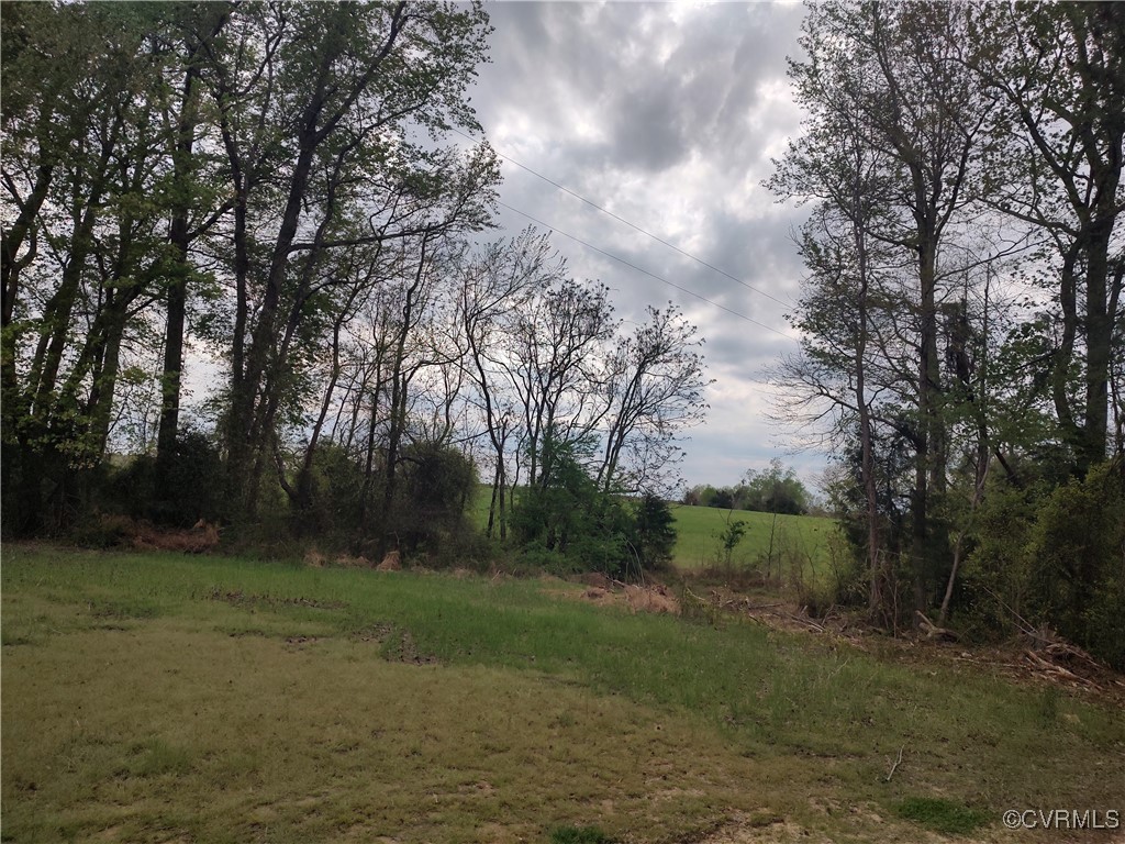Tbd Old White Oak Road Dewitt, VA 23840 - Photo 5 of 8