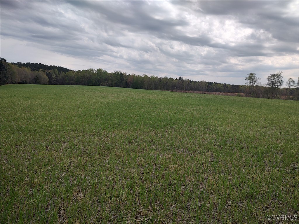 Tbd Old White Oak Road Dewitt, VA 23840 - Photo 6 of 8