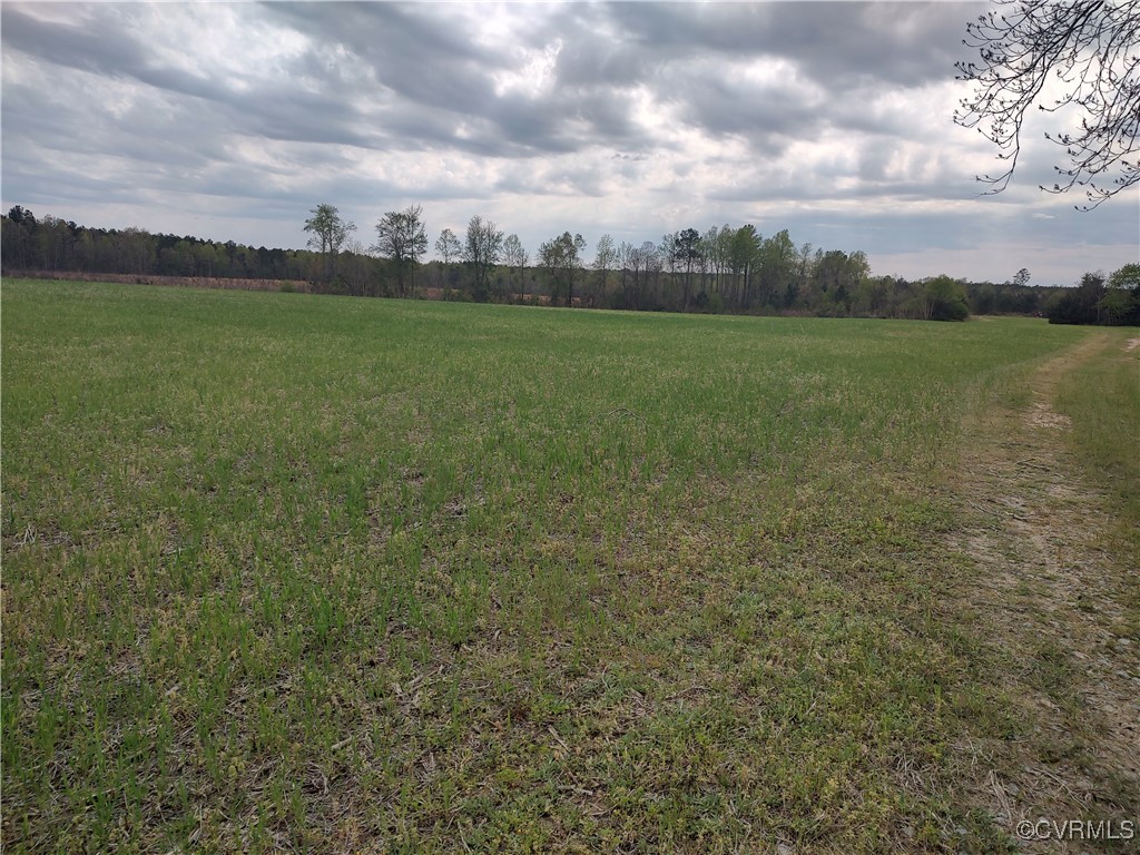 Tbd Old White Oak Road Dewitt, VA 23840 - Photo 7 of 8