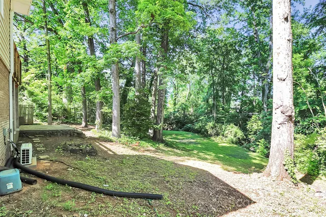 a view of a backyard with large trees