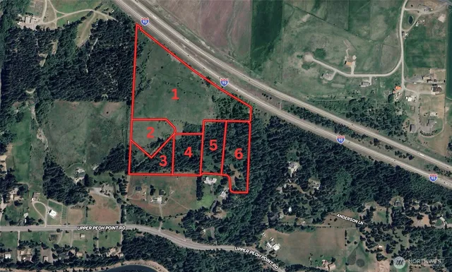 a view of a balcony with lots of plants and trees