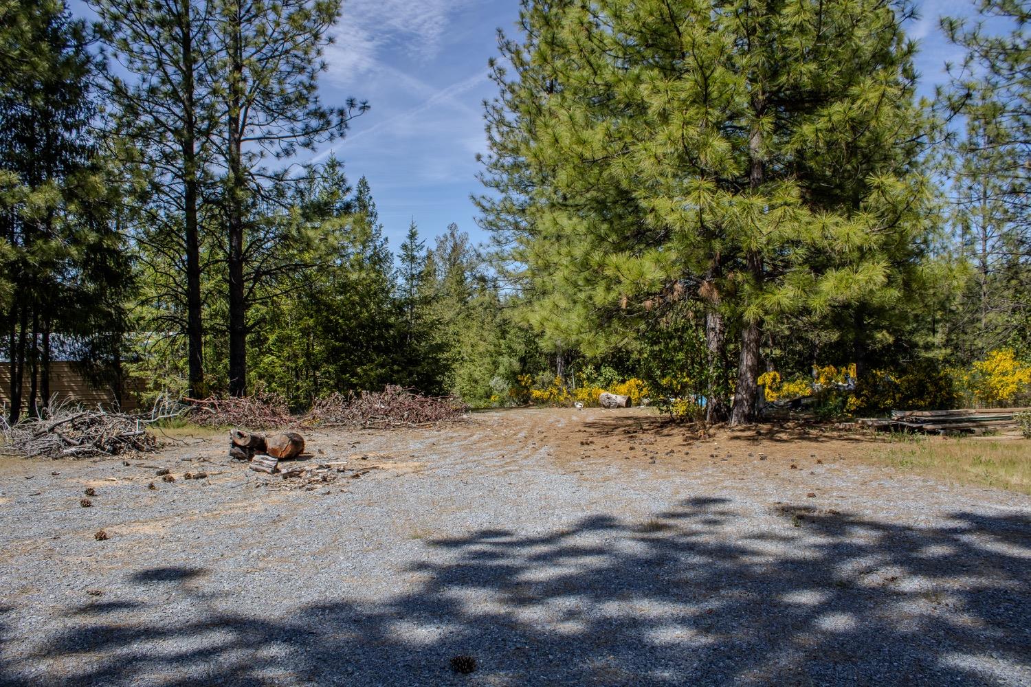 5734 Wilder Road Georgetown, CA 95634 - Photo 12 of 93