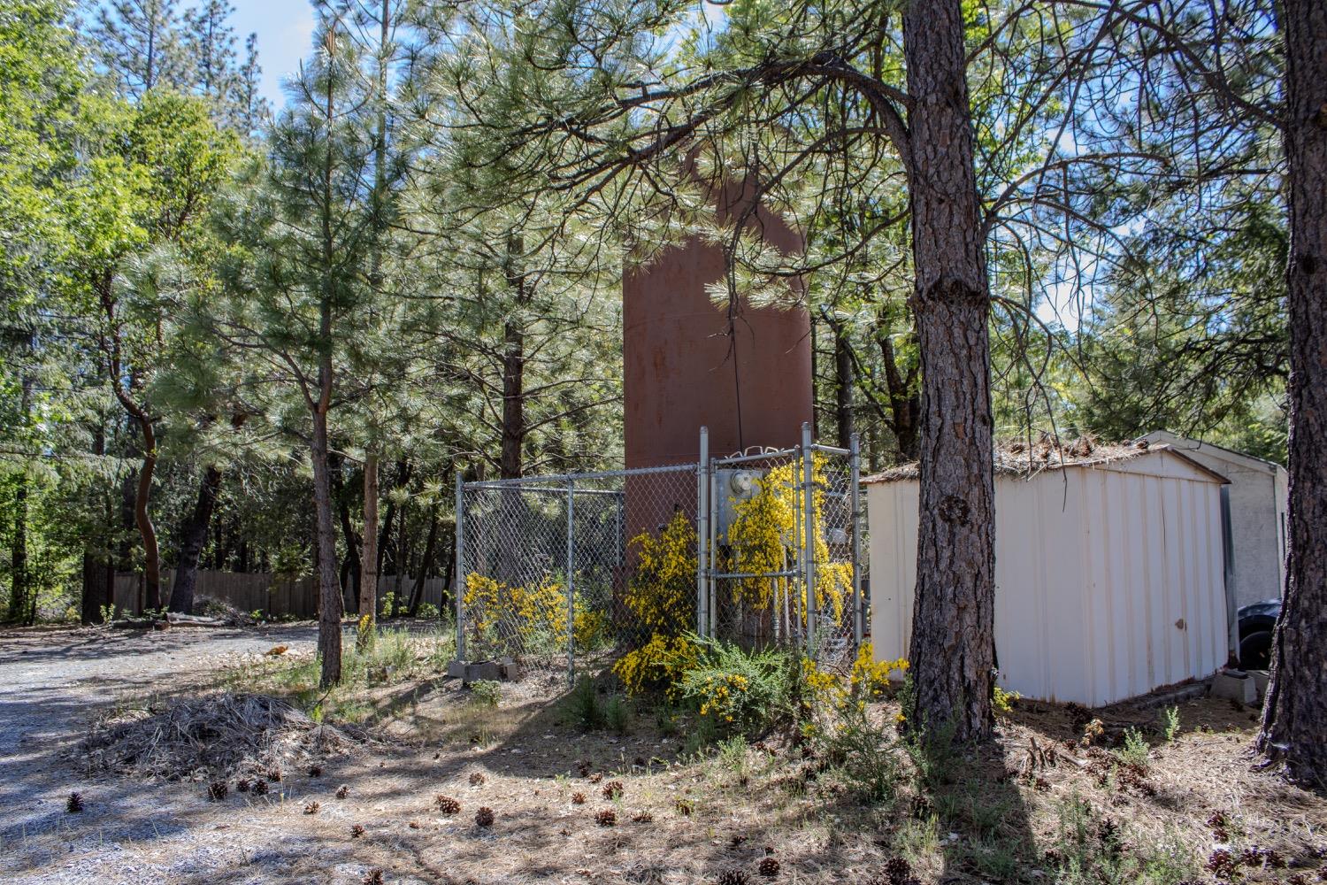 5734 Wilder Road Georgetown, CA 95634 - Photo 15 of 93 a view of a garden