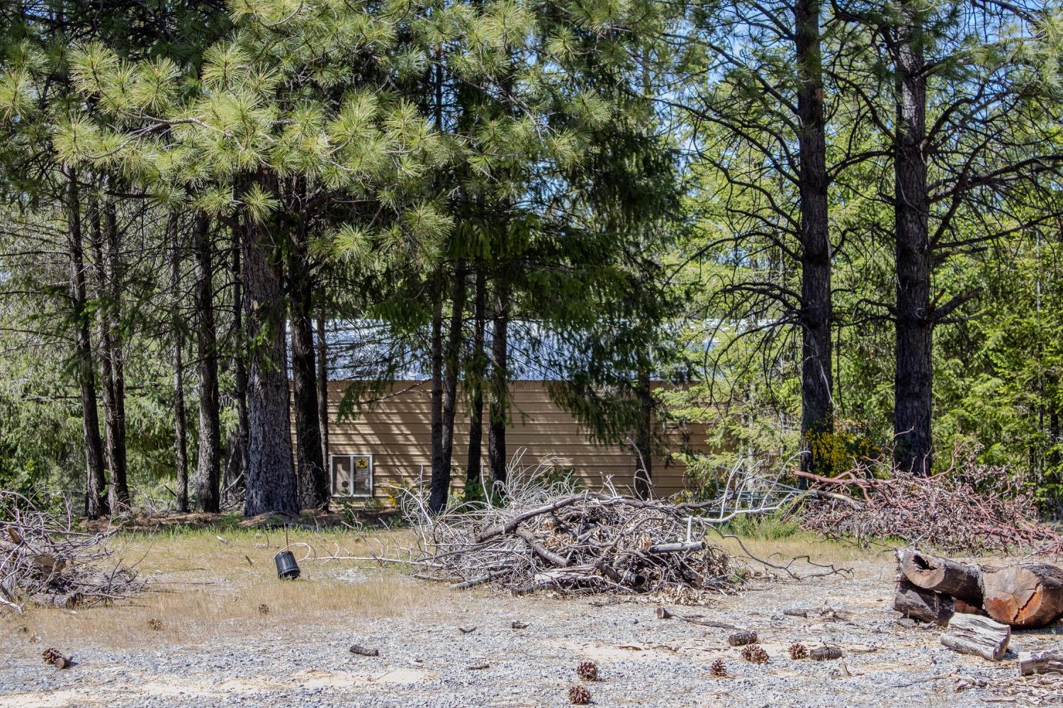 5734 Wilder Road Georgetown, CA 95634 - Photo 17 of 93