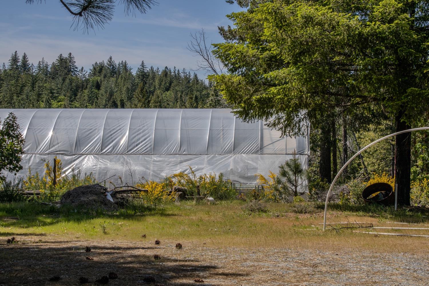 5734 Wilder Road Georgetown, CA 95634 - Photo 18 of 93