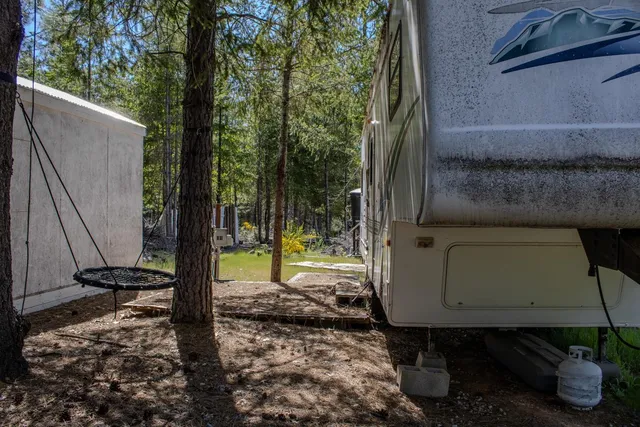 a view of a forest with trees in the background