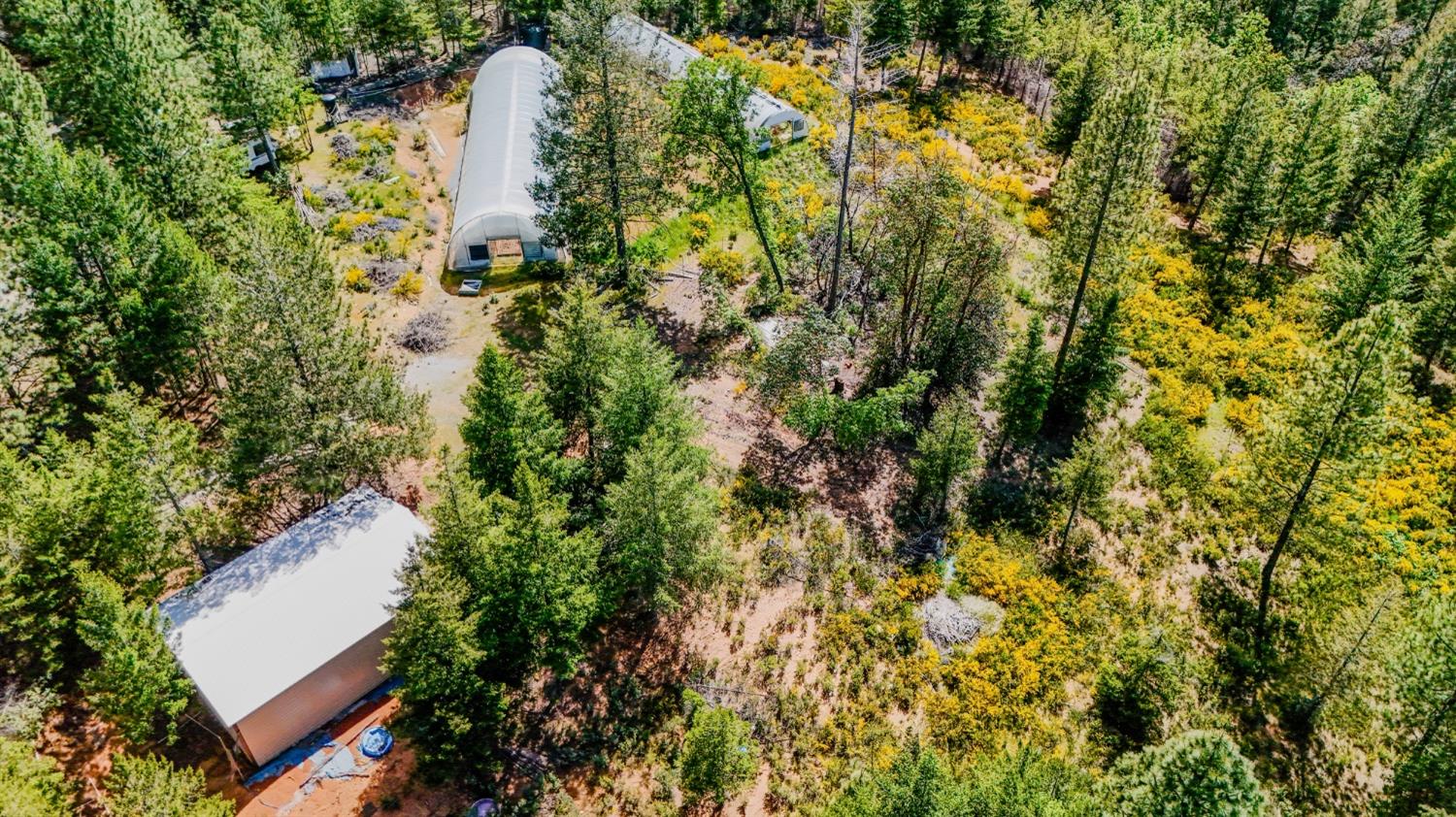 5734 Wilder Road Georgetown, CA 95634 - Photo 2 of 93 a view of a yard and trees